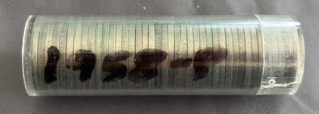 Online Bidding Available!