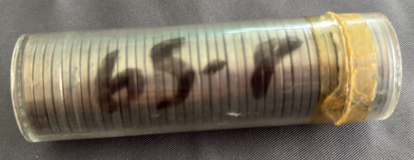 Online Bidding Available!