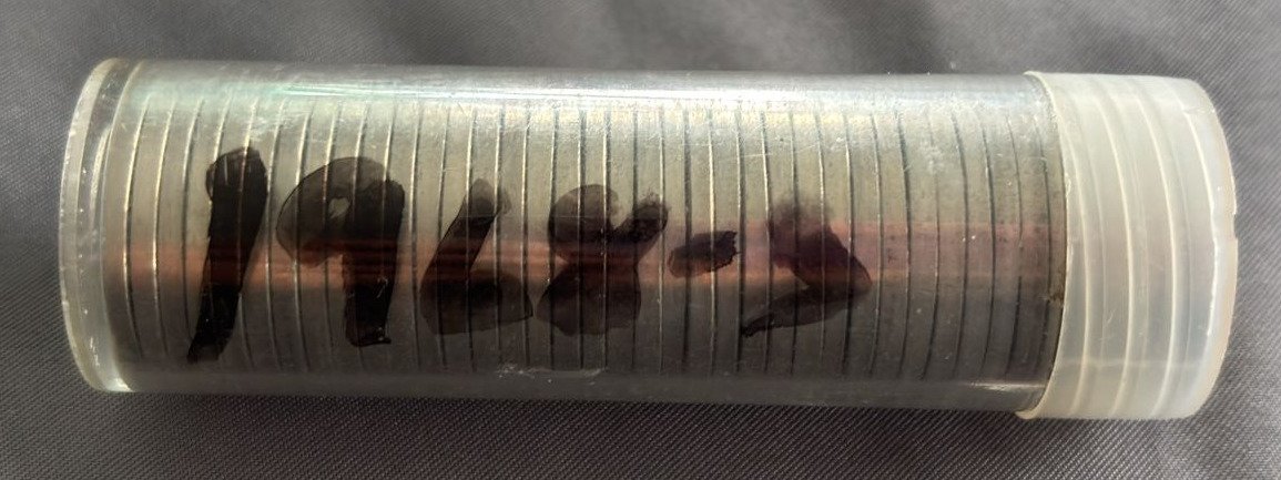 Online Bidding Available!