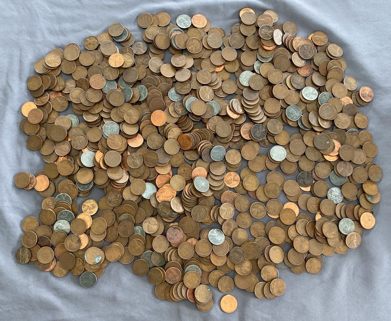 Online Bidding Available!