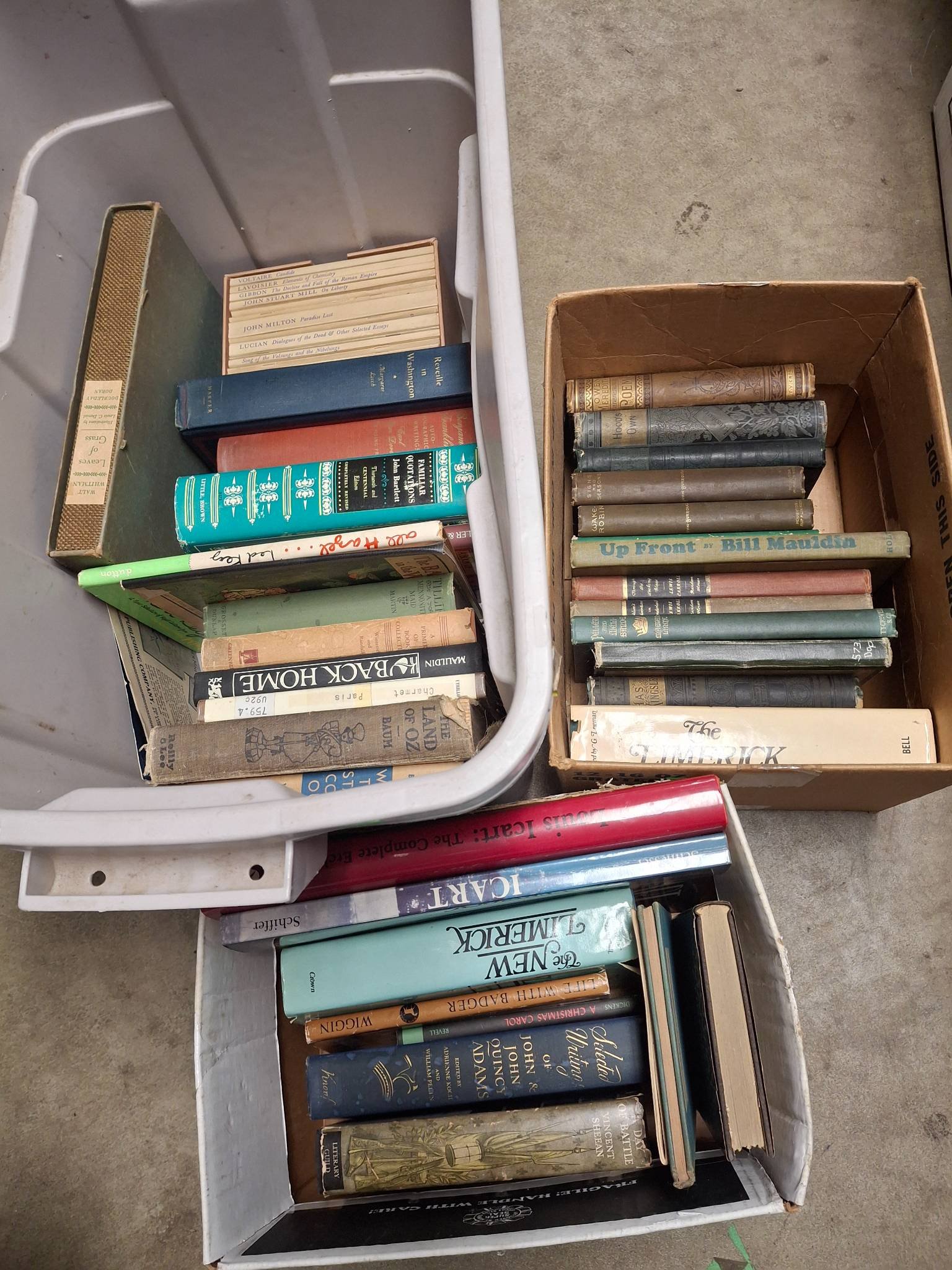 Online Bidding Available!