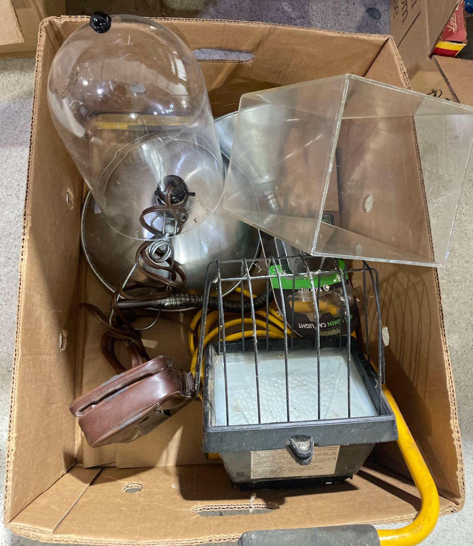 Online Bidding Available!