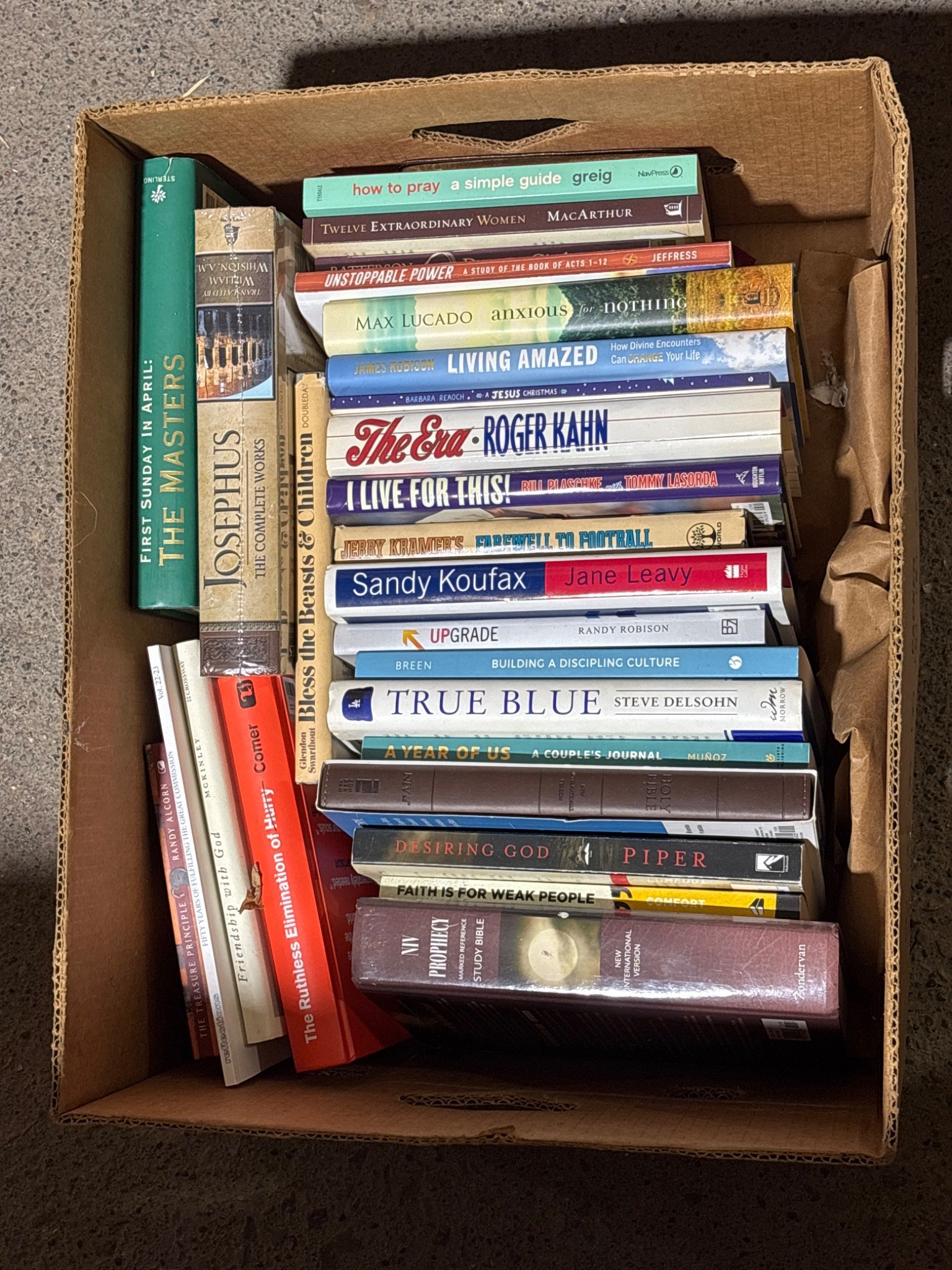 Online Bidding Available!