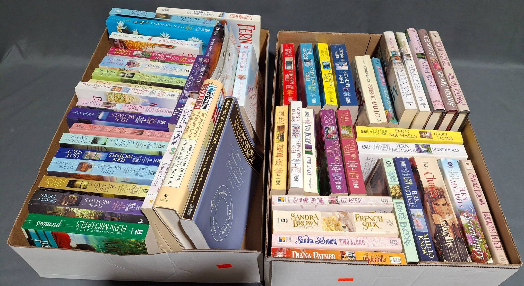 Online Bidding Available!