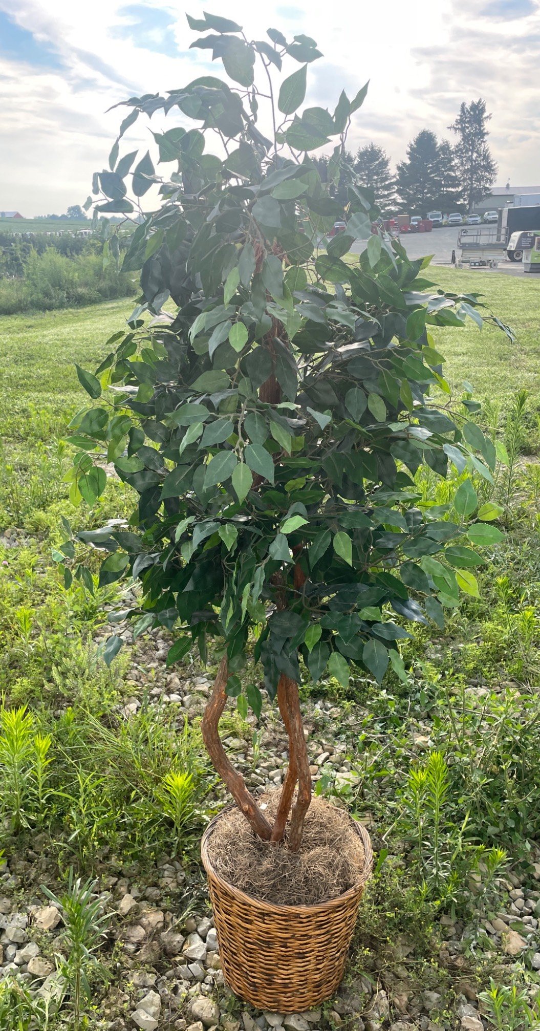 Online Bidding Available!