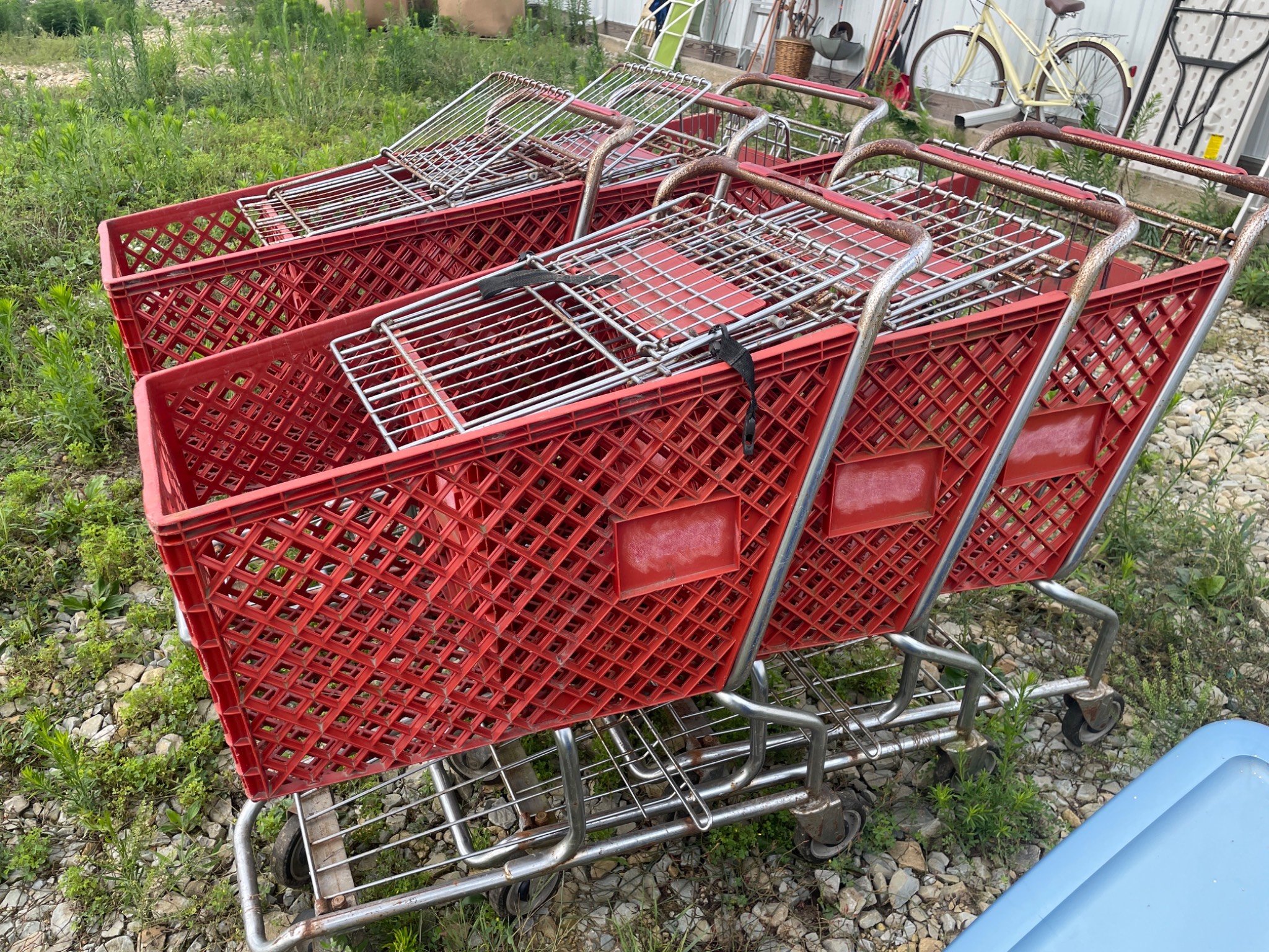 Online Bidding Available!