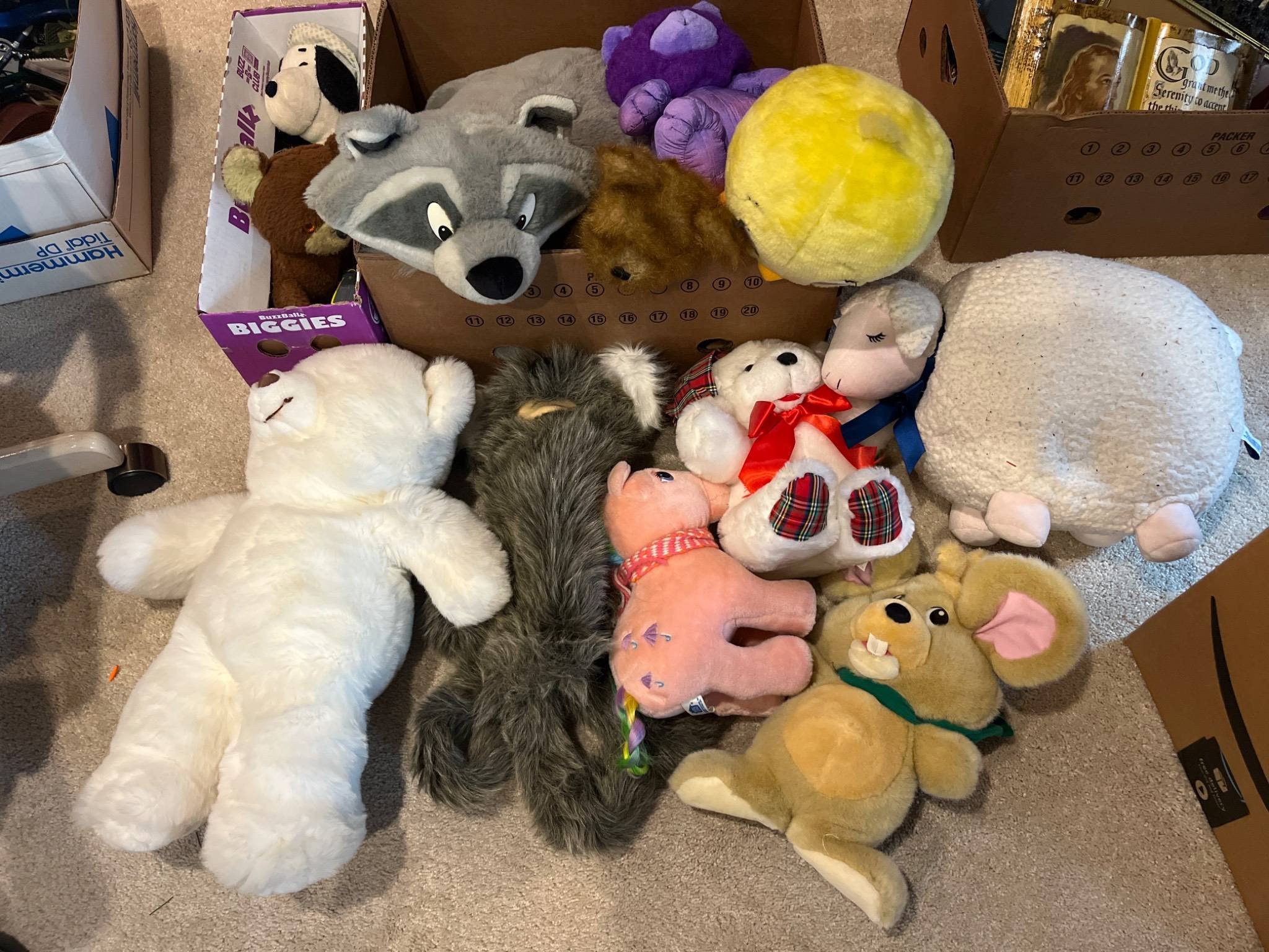 Online Bidding Available!