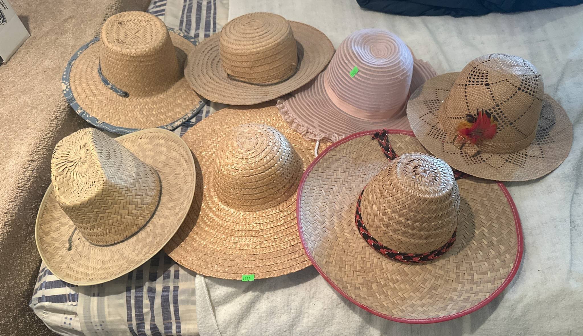 Online Bidding Available!