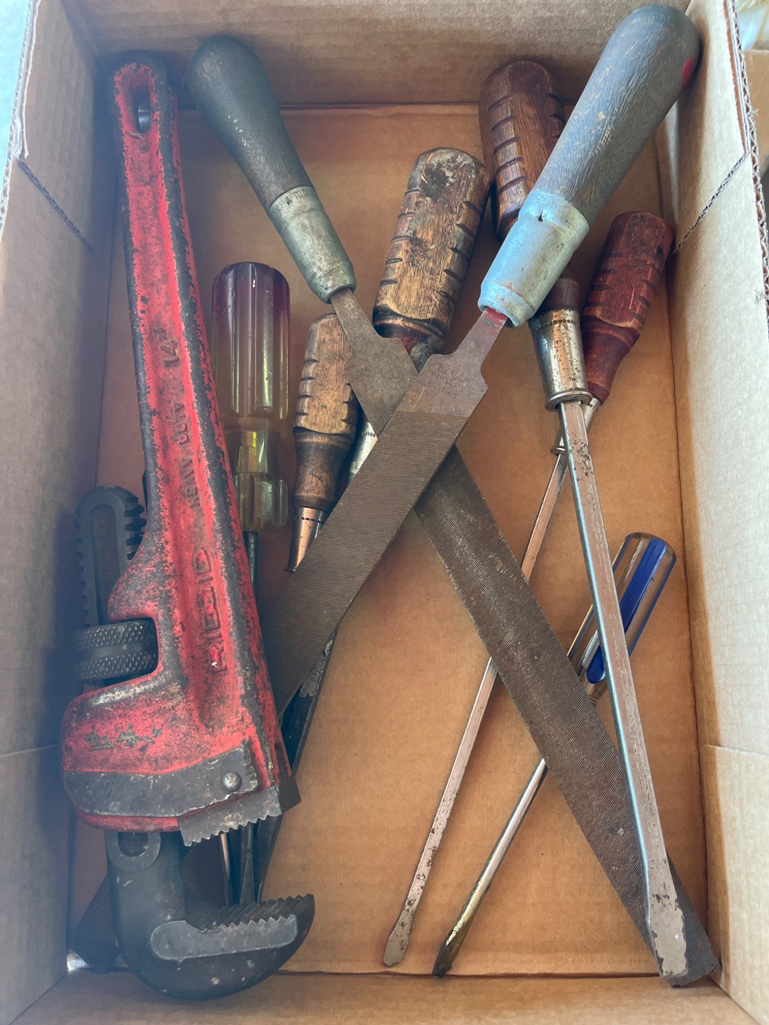 Online Bidding Available!