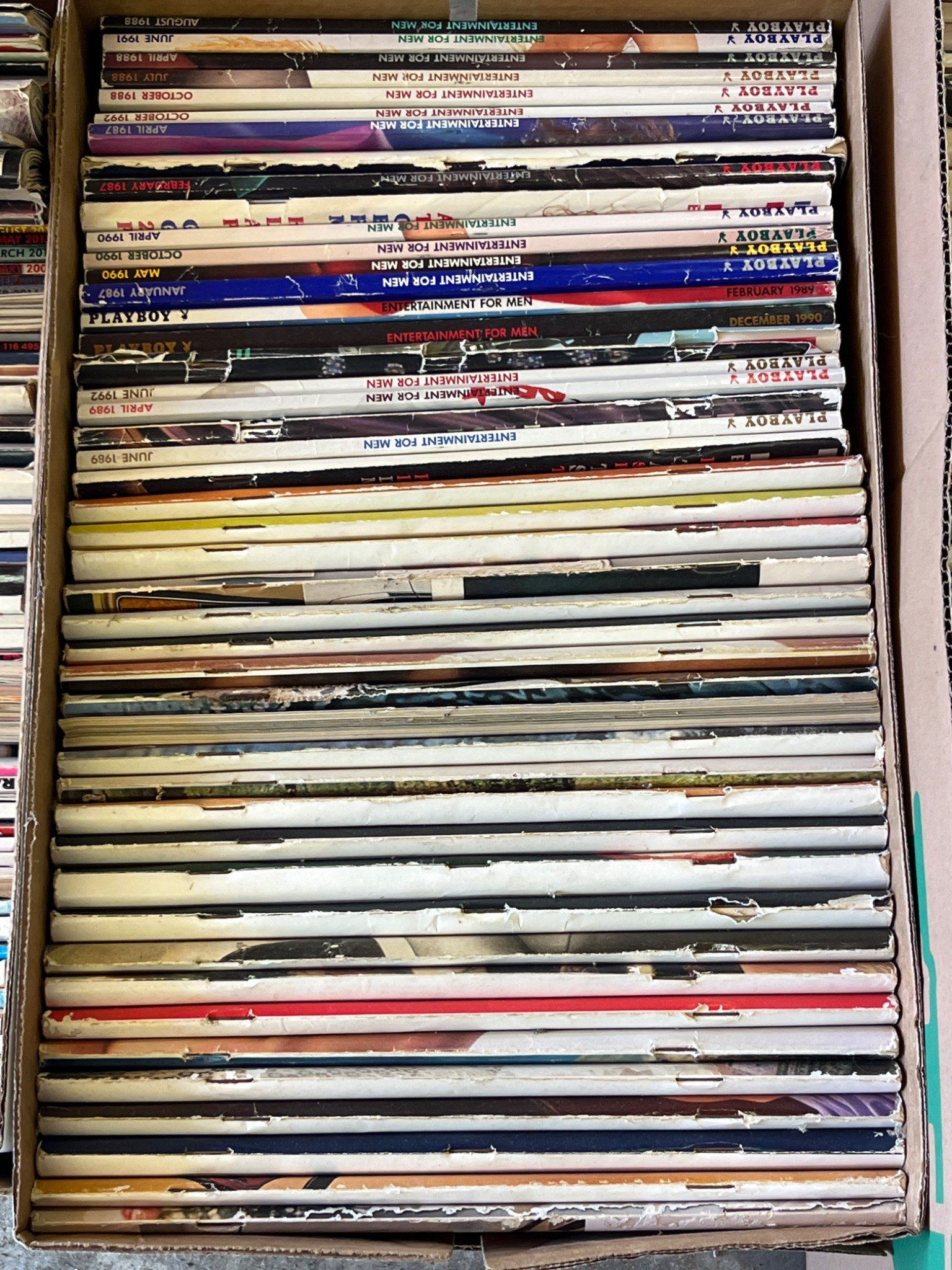 Online Bidding Available!