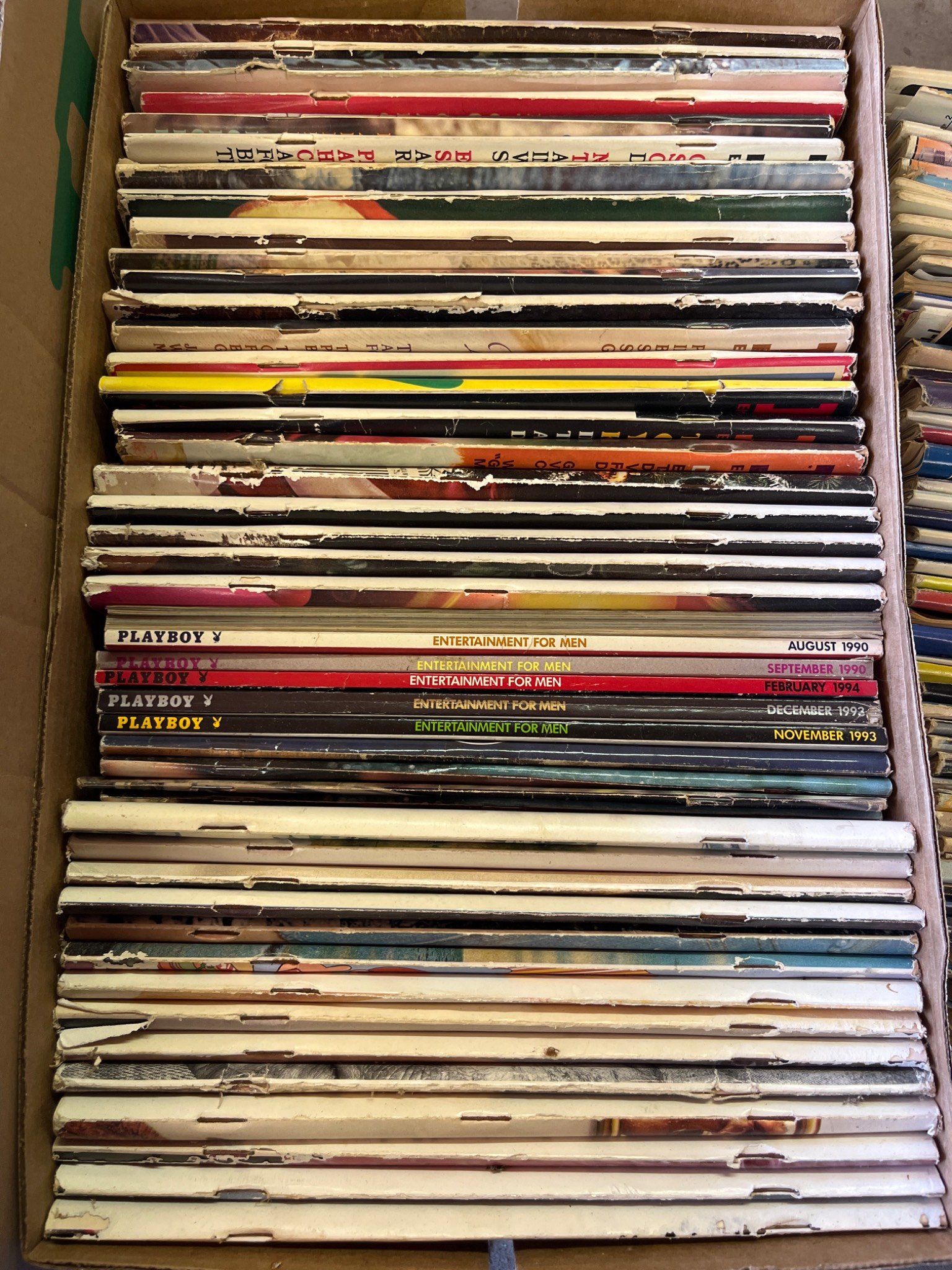 Online Bidding Available!