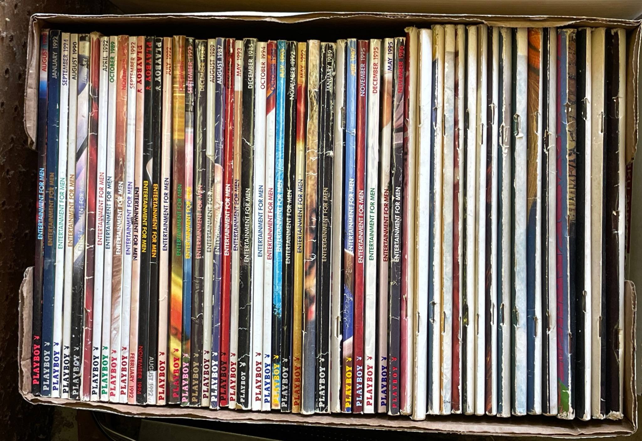 Online Bidding Available!