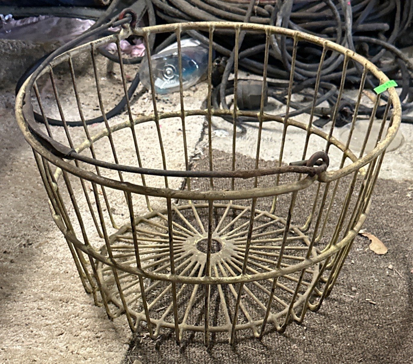 Online Bidding Available!