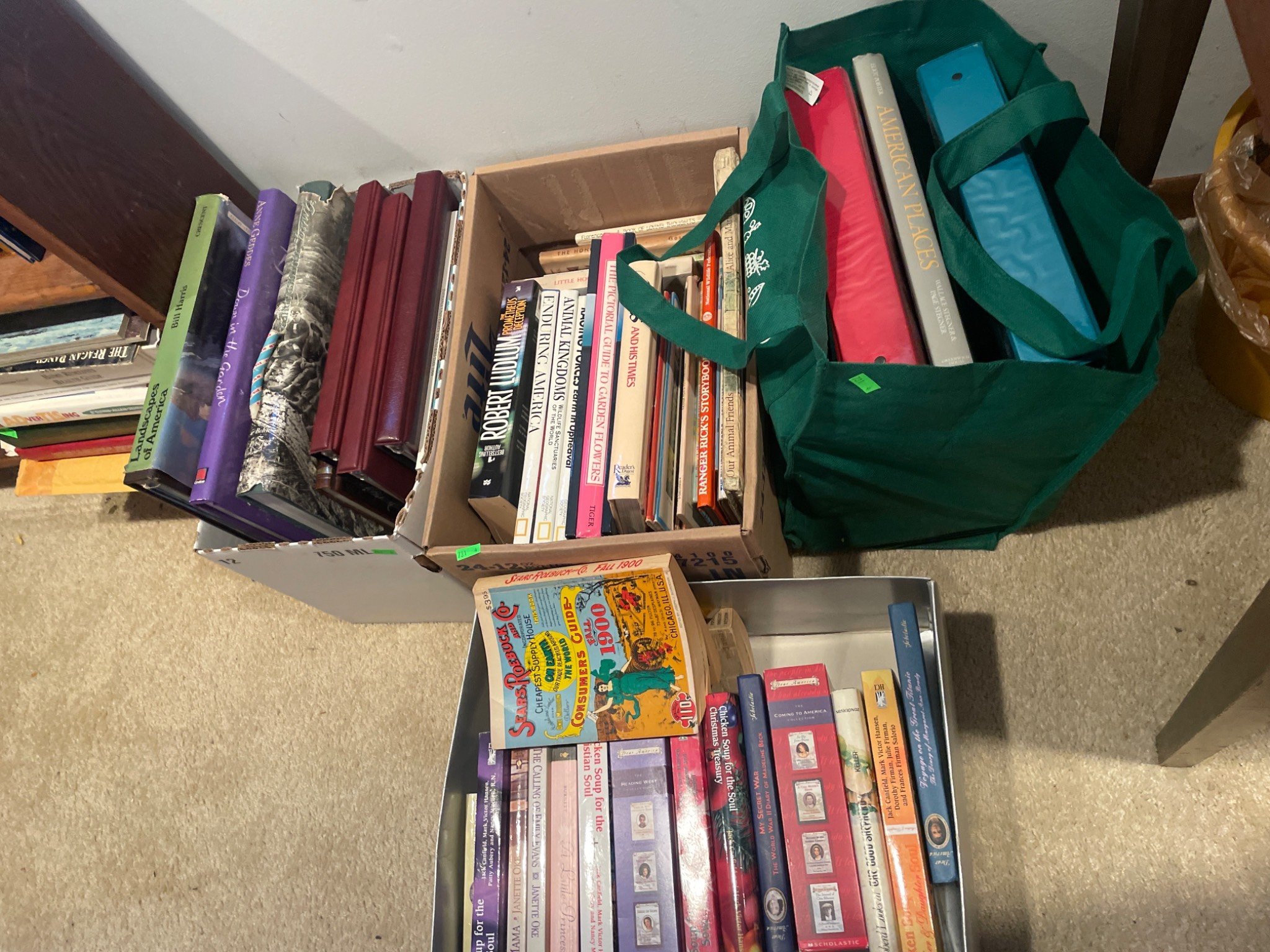 Online Bidding Available!