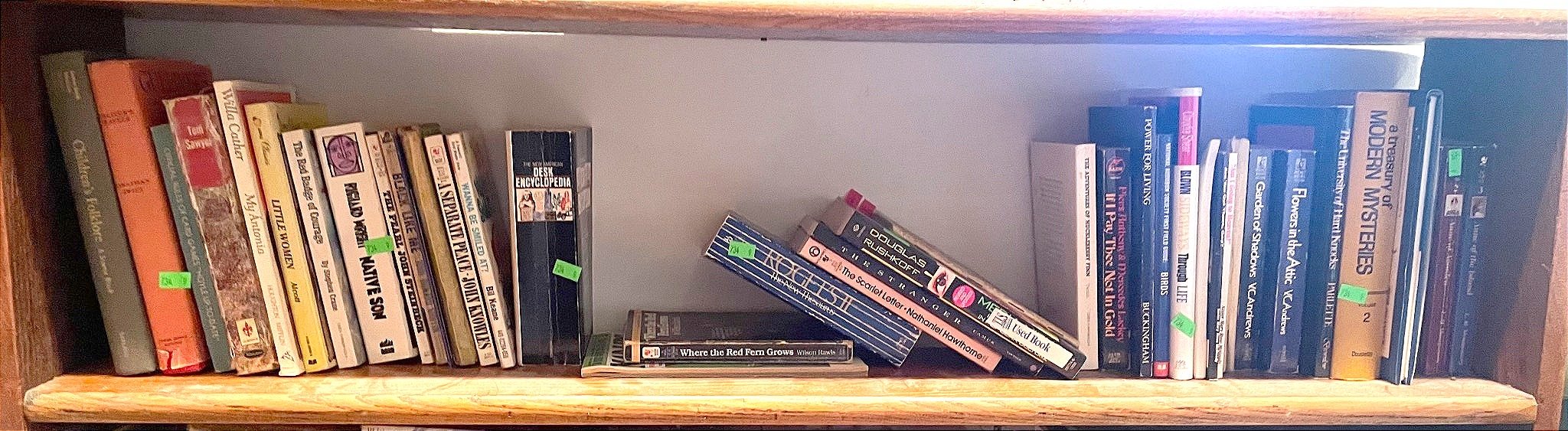 Online Bidding Available!