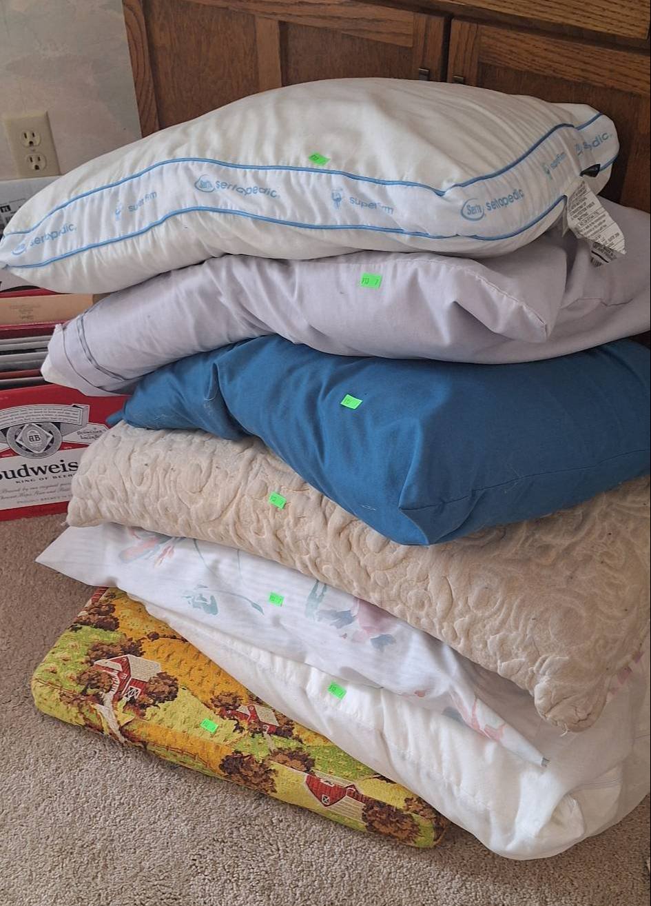 Online Bidding Available!