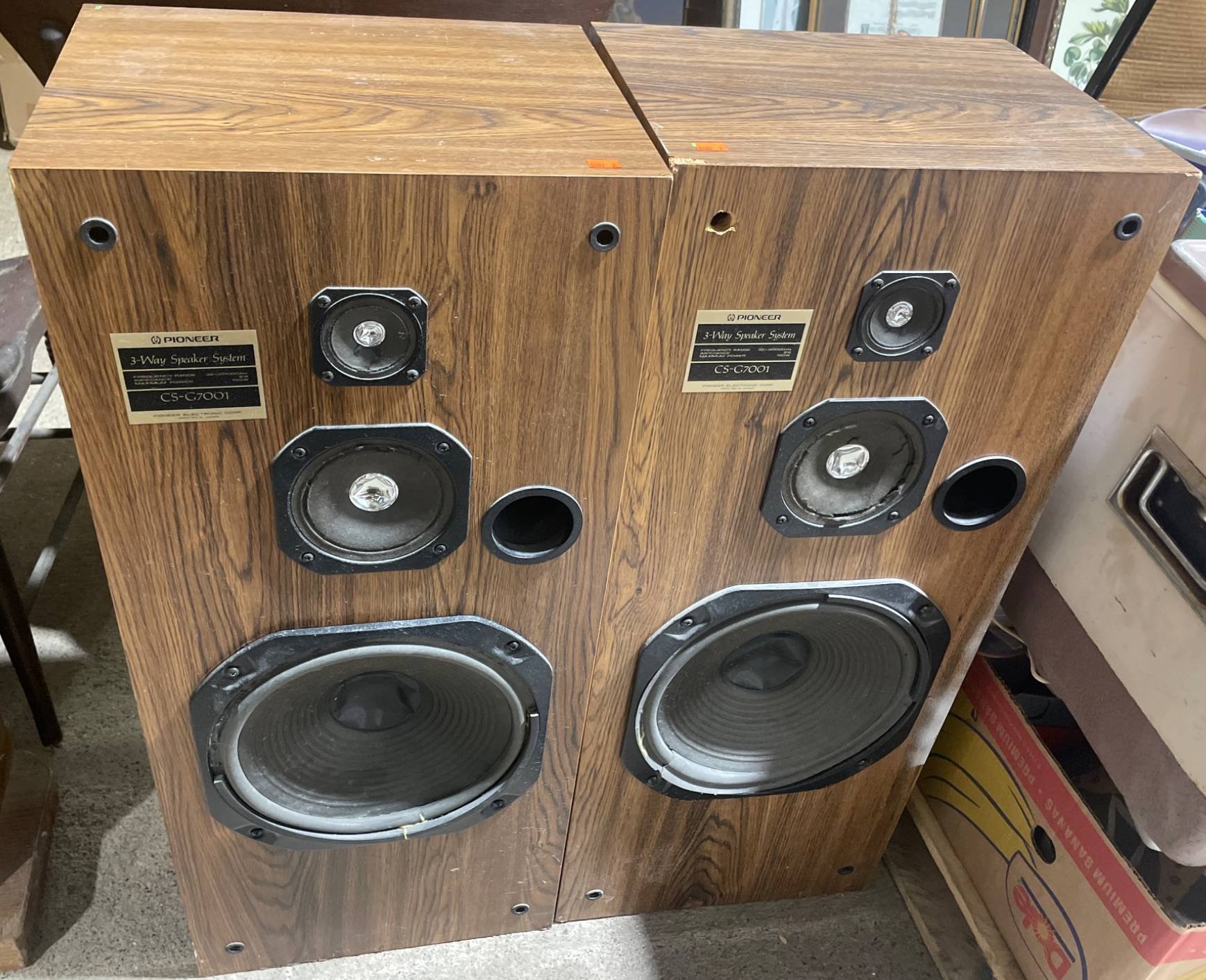 Online Bidding Available!