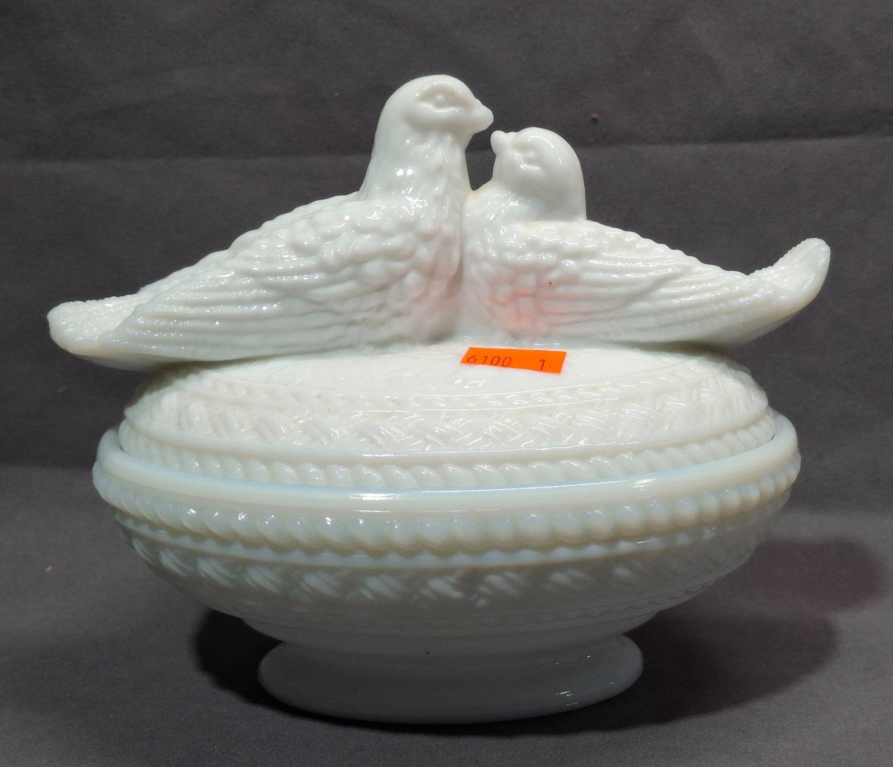 Online Bidding Available!