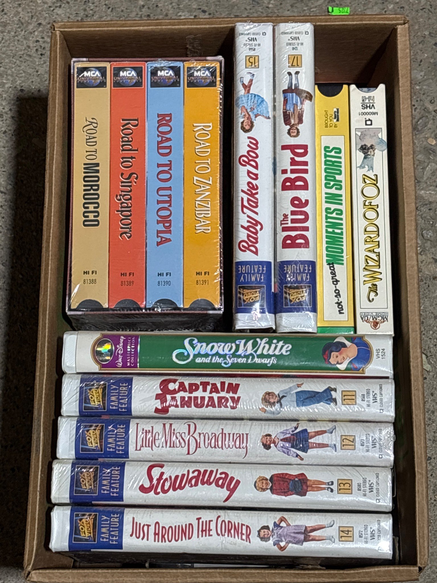 Online Bidding Available!