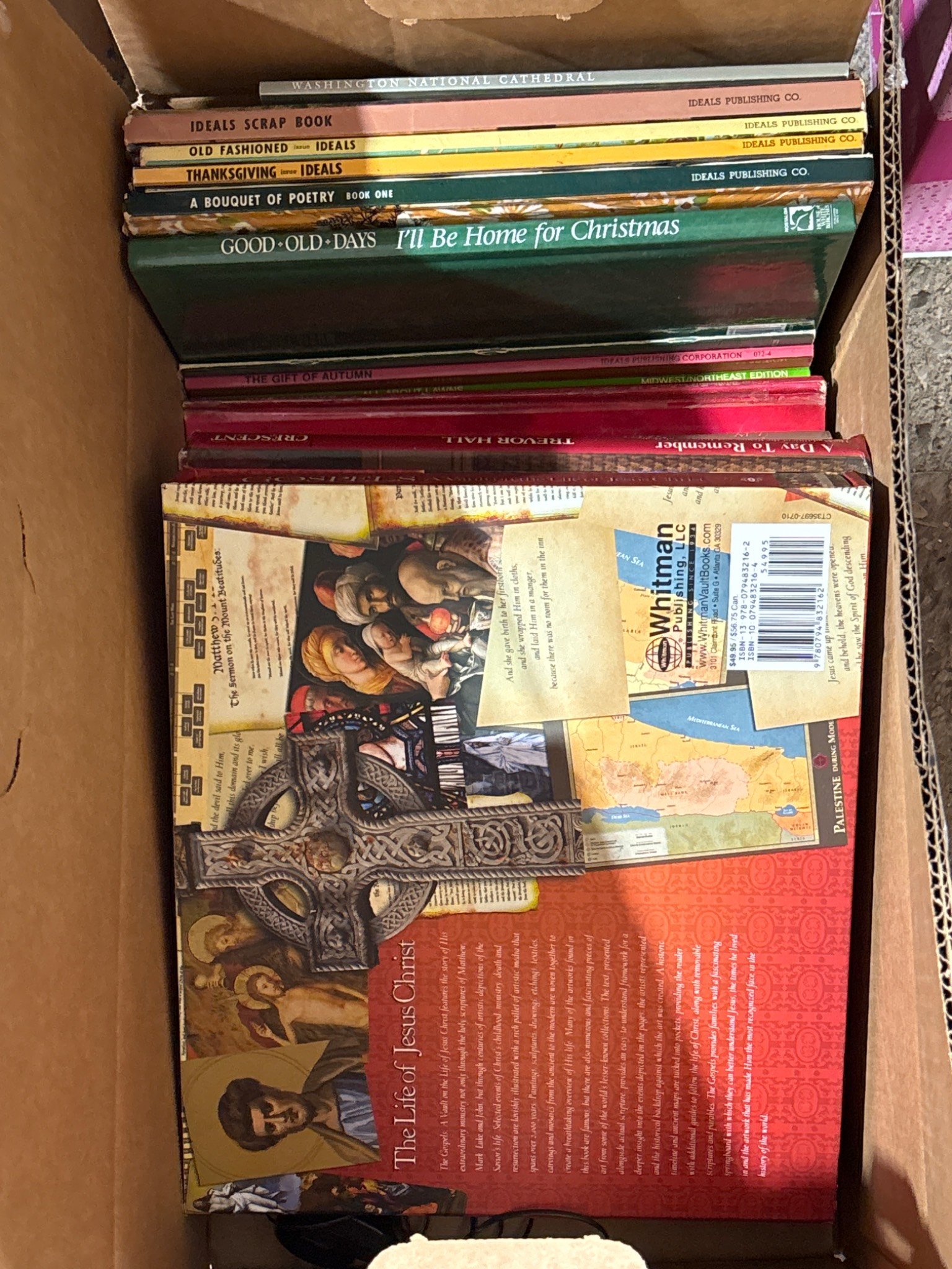 Online Bidding Available!