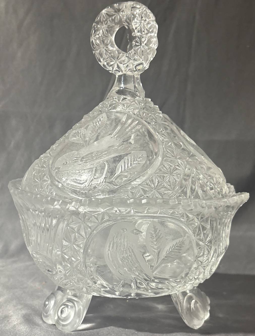 Online Bidding Available!