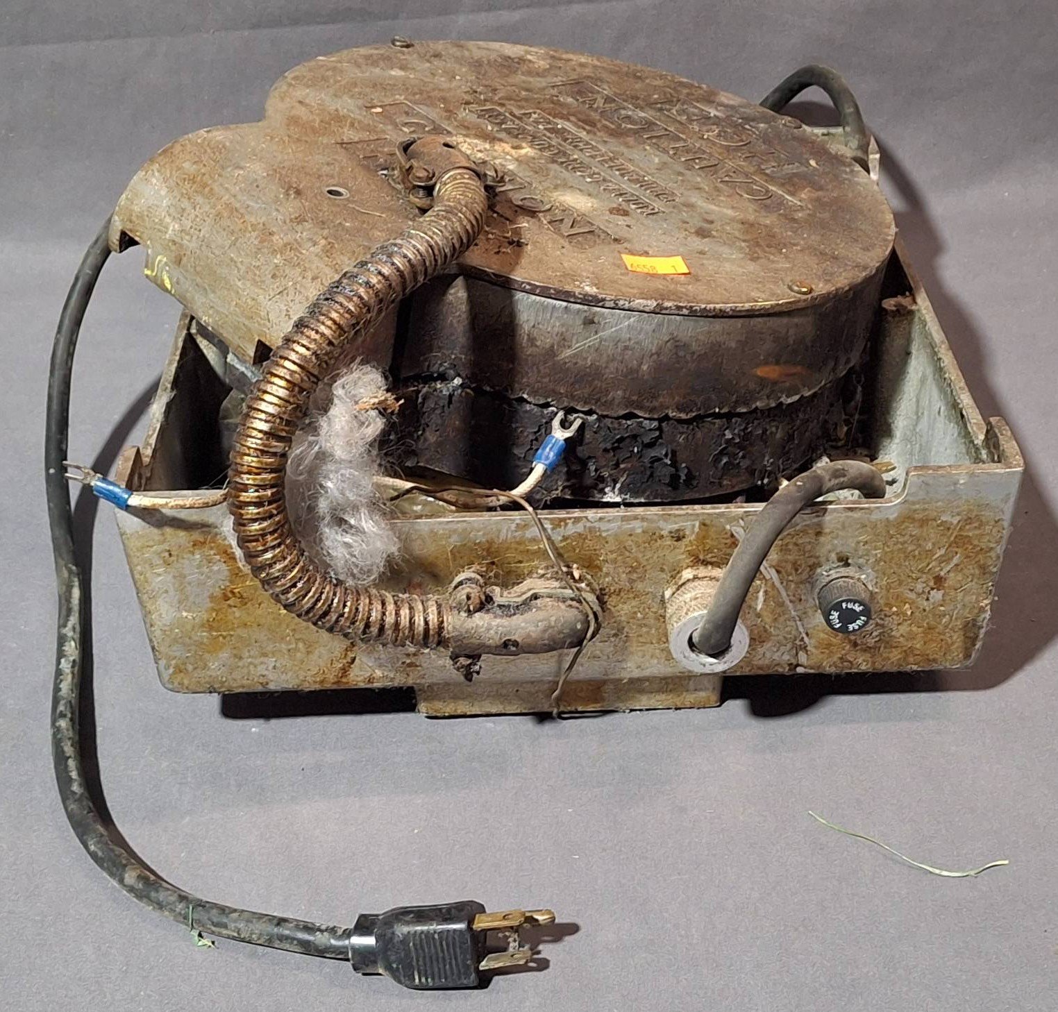 Online Bidding Available!