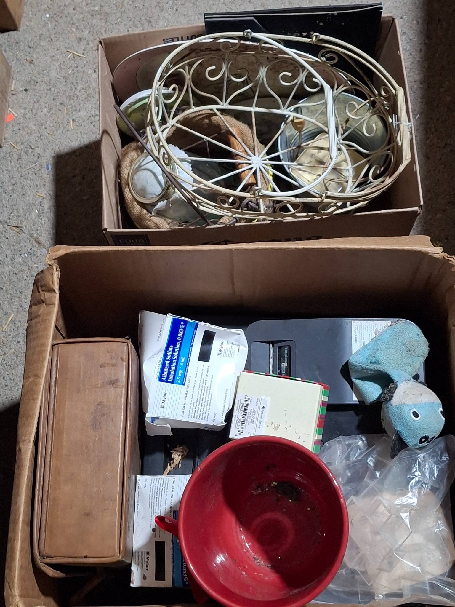 Online Bidding Available!