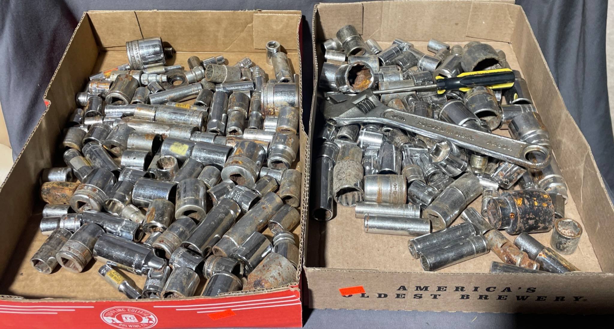 Online Bidding Available!