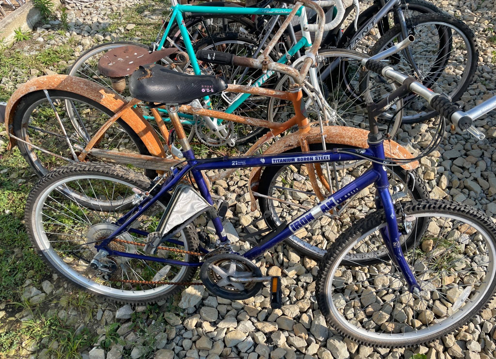 Online Bidding Available!