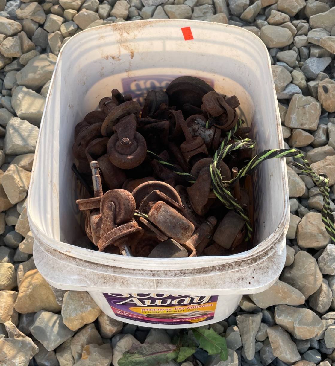 Online Bidding Available!