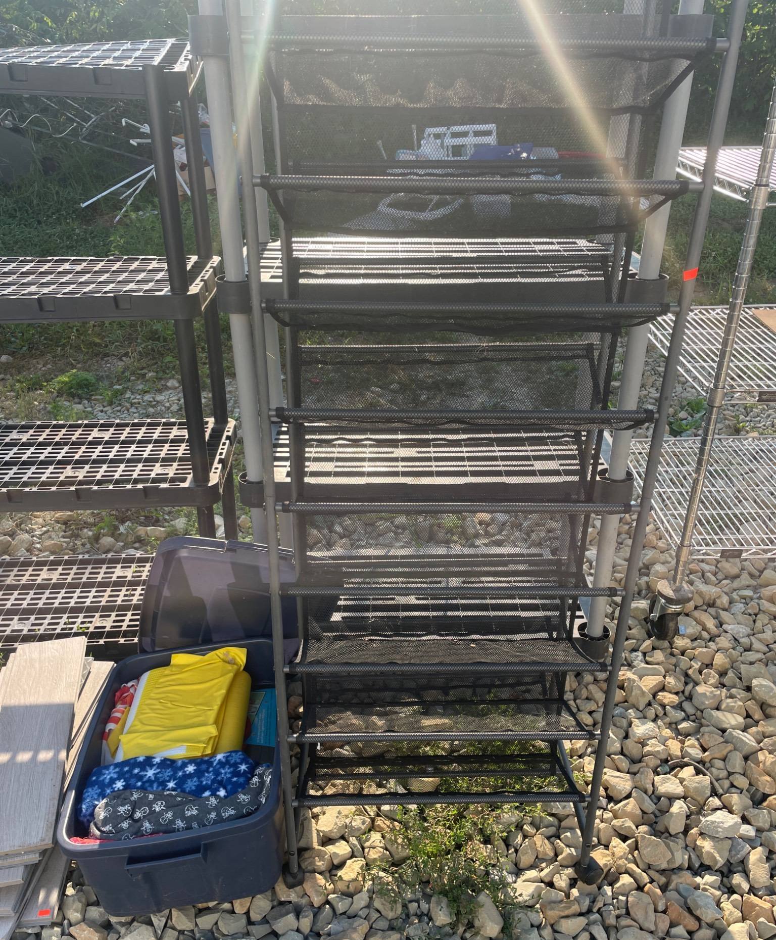 Online Bidding Available!