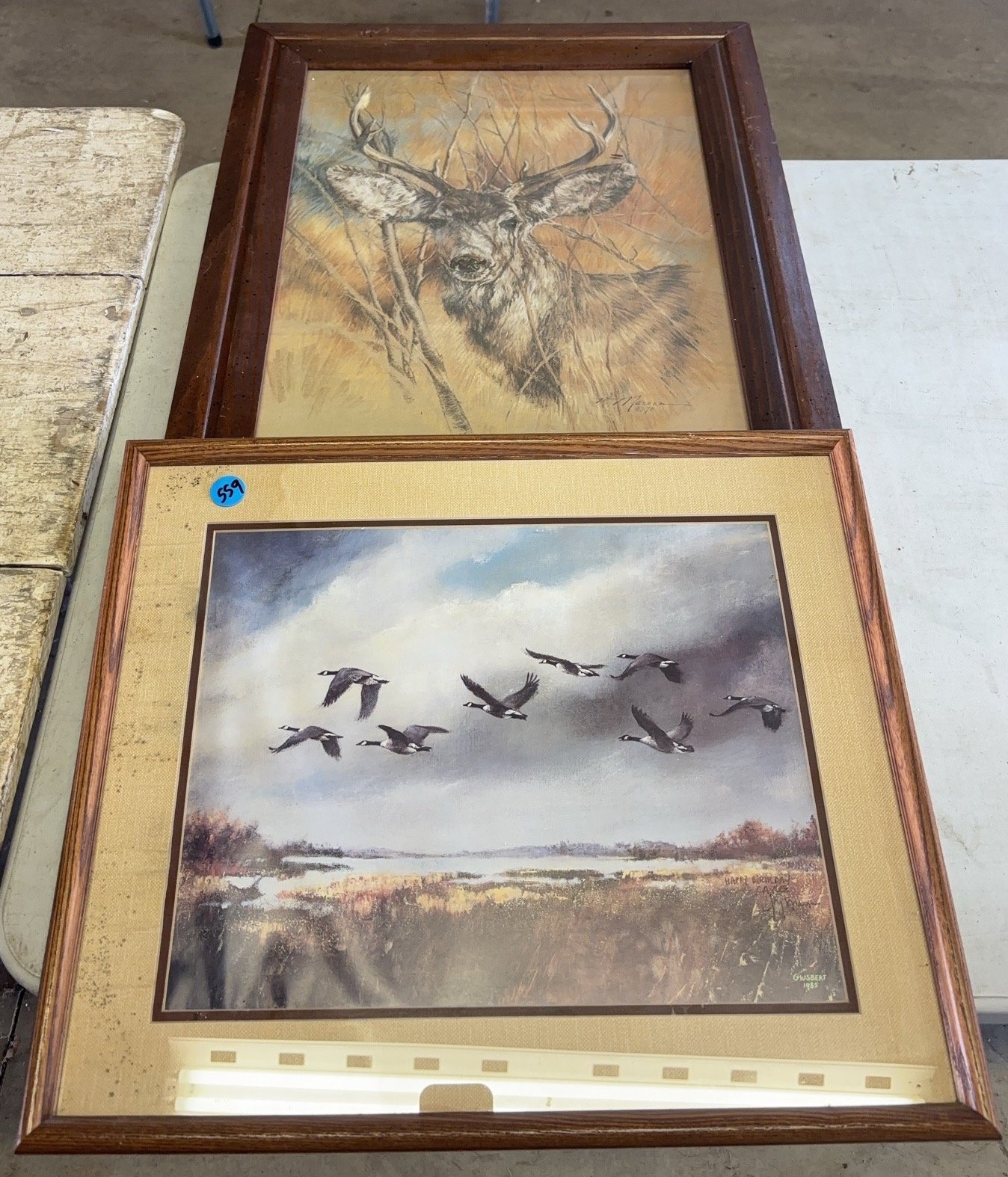 Online Bidding Available!
