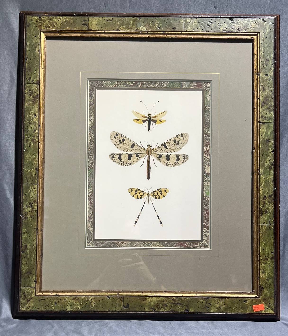 Online Bidding Only