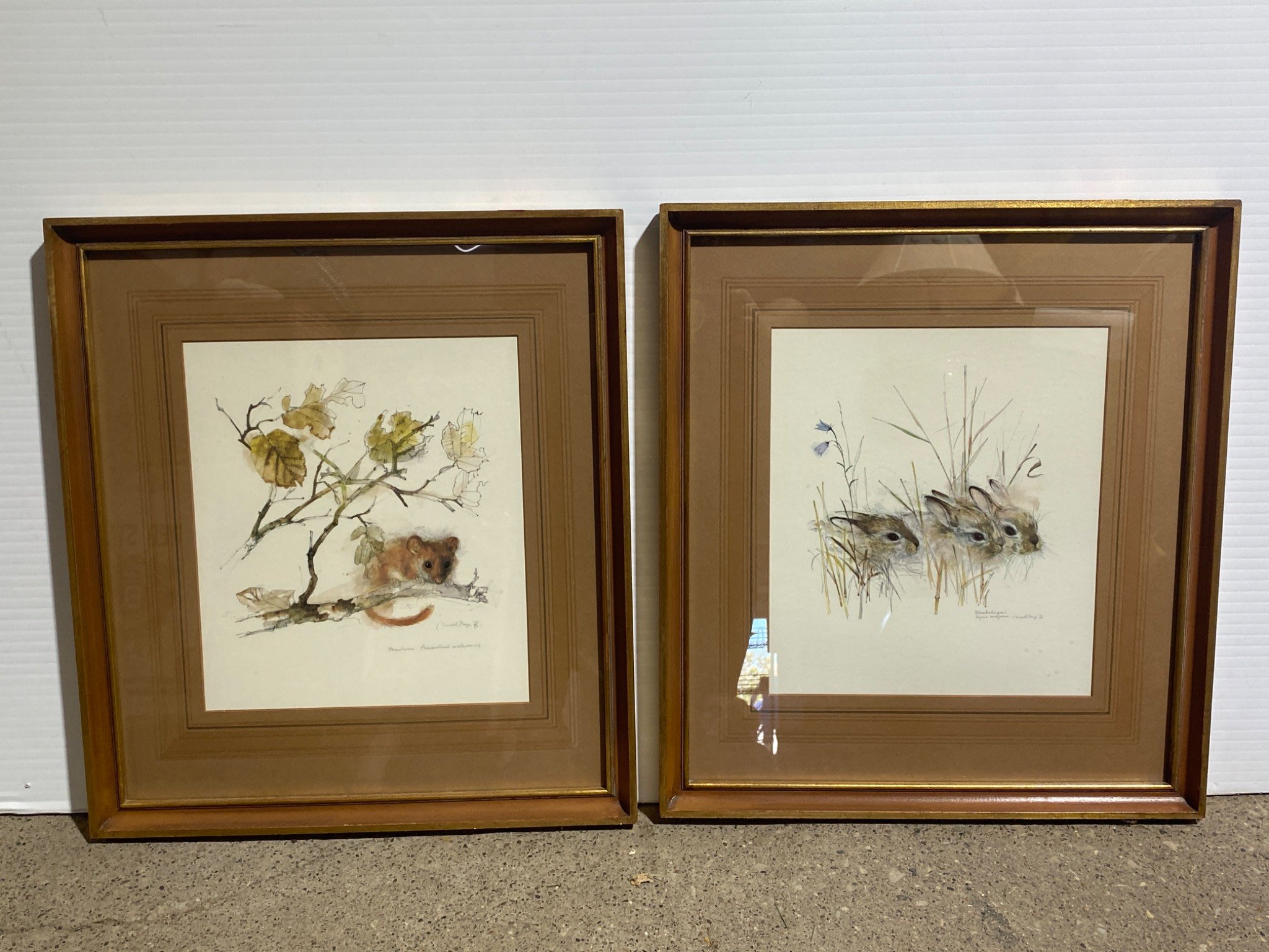Online Bidding Only