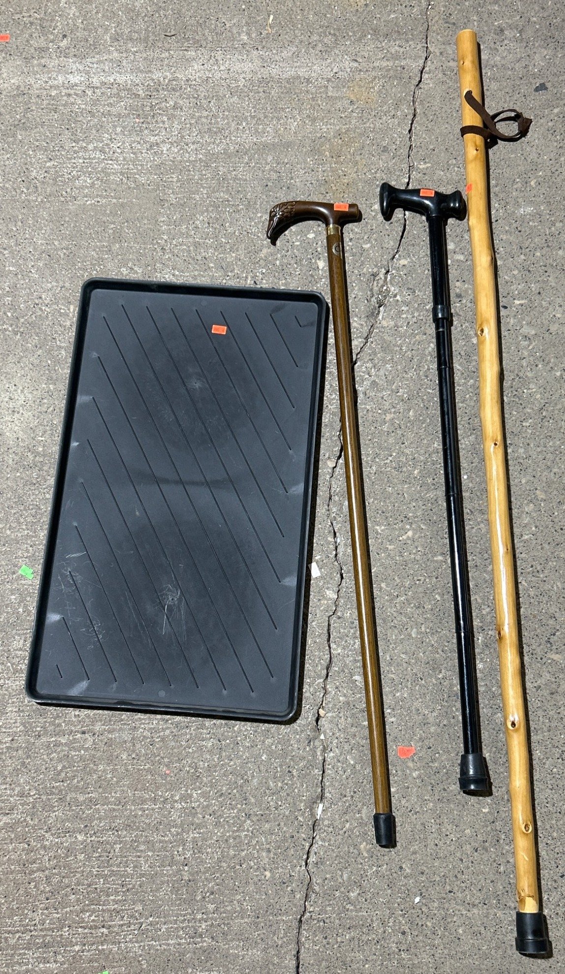 Online Bidding Only