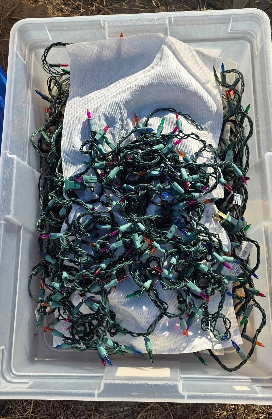 Online Bidding Only