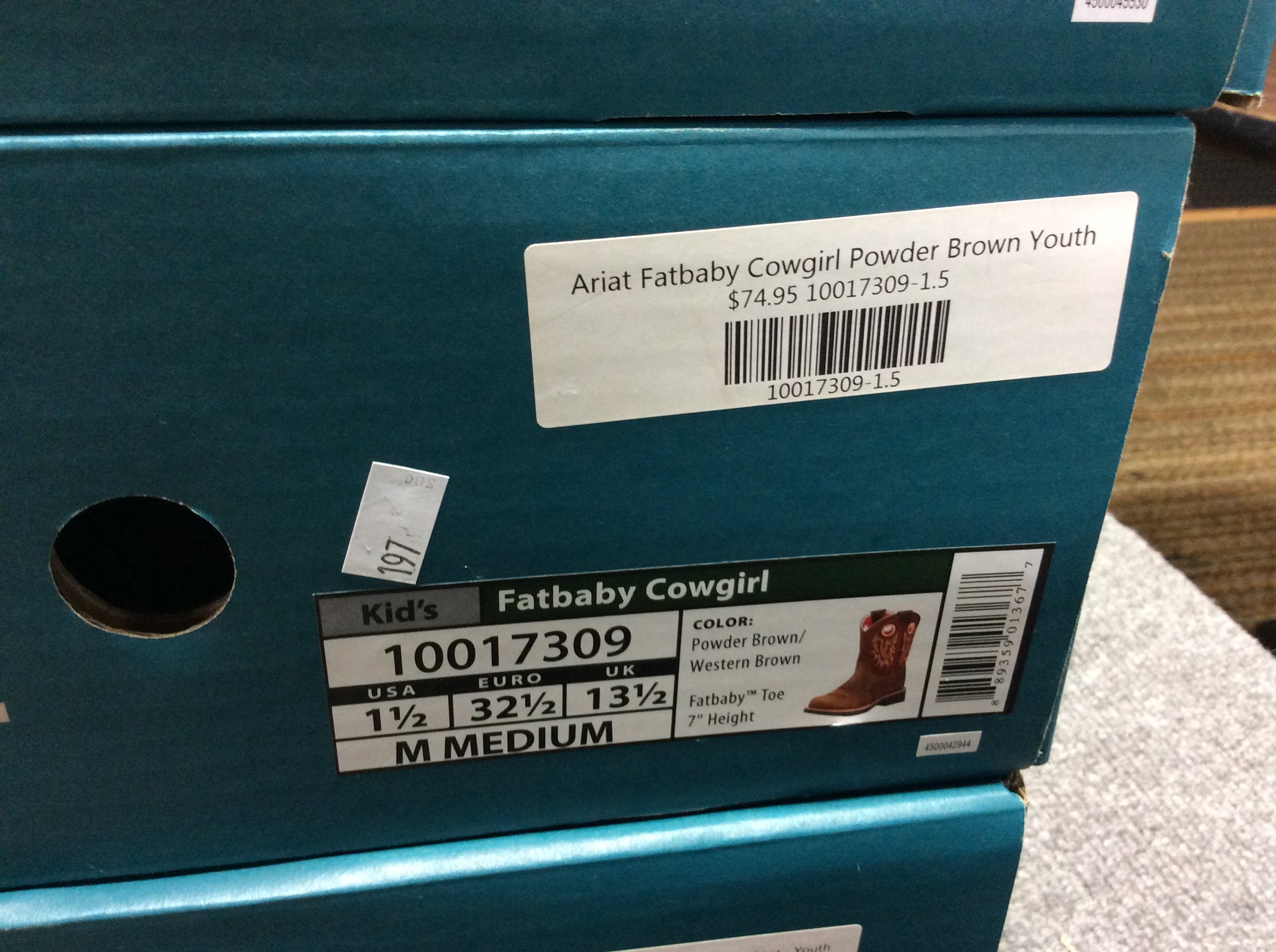 Online Bidding Available