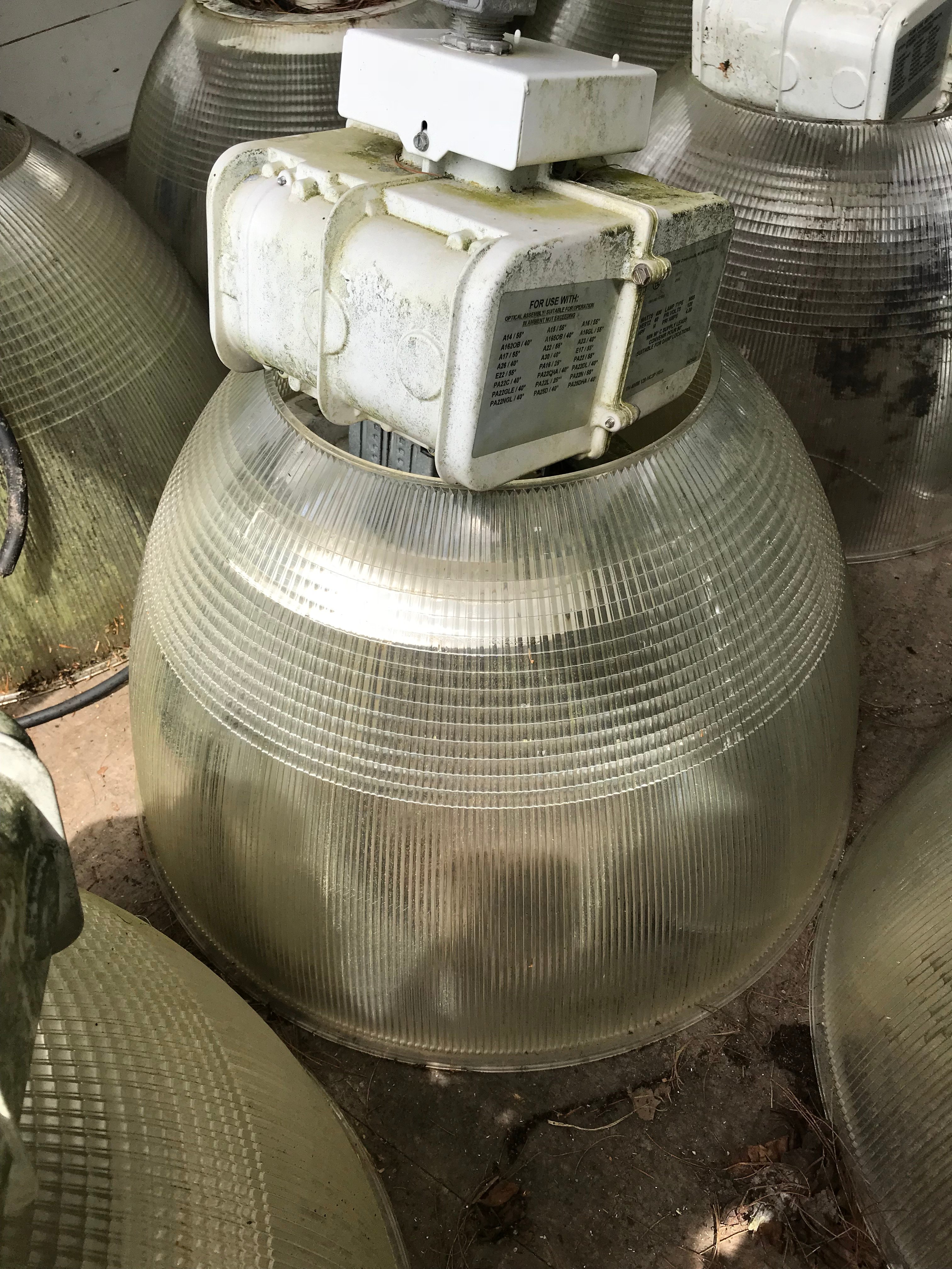 Online Bidding Available