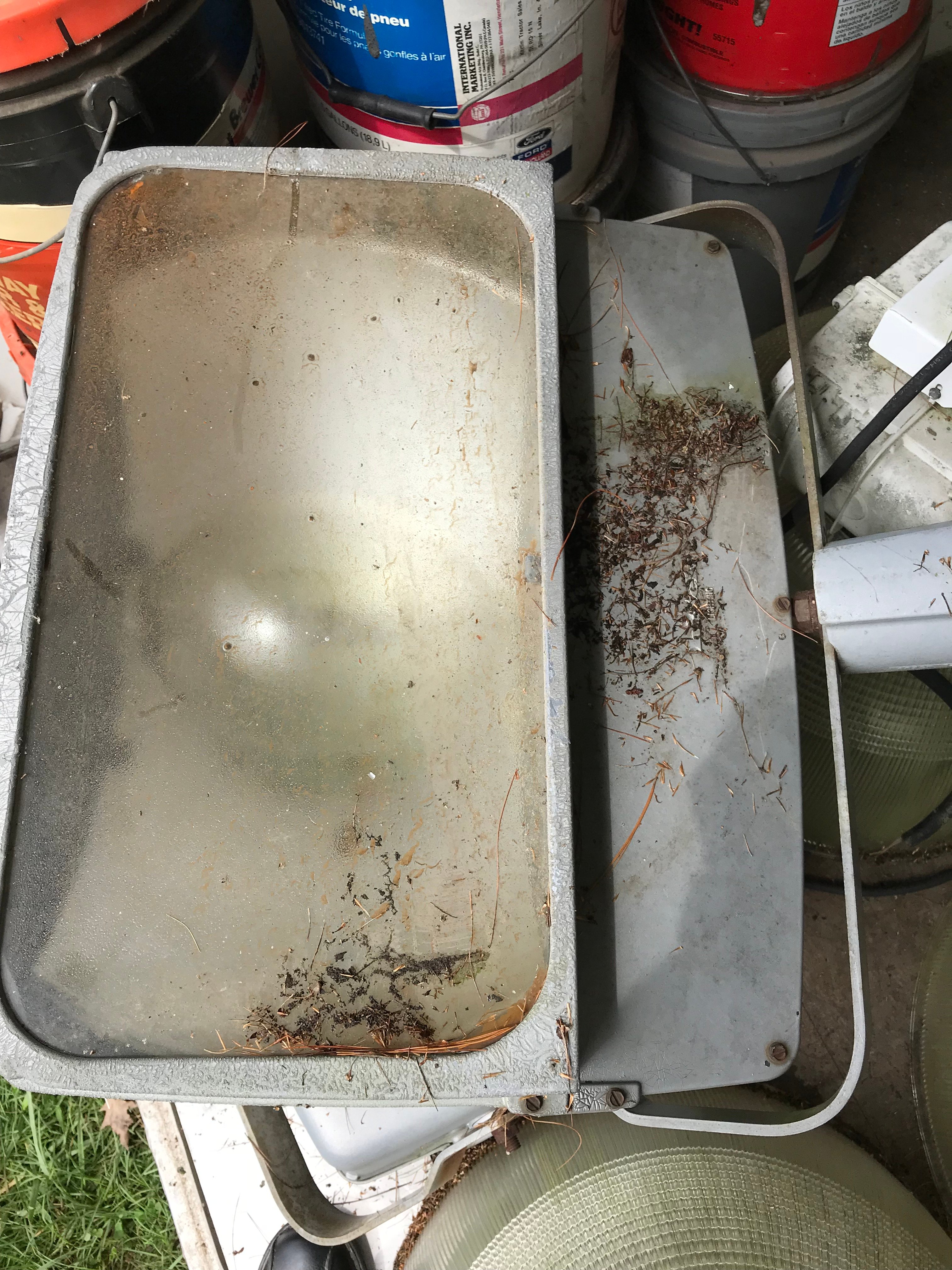 Online Bidding Available