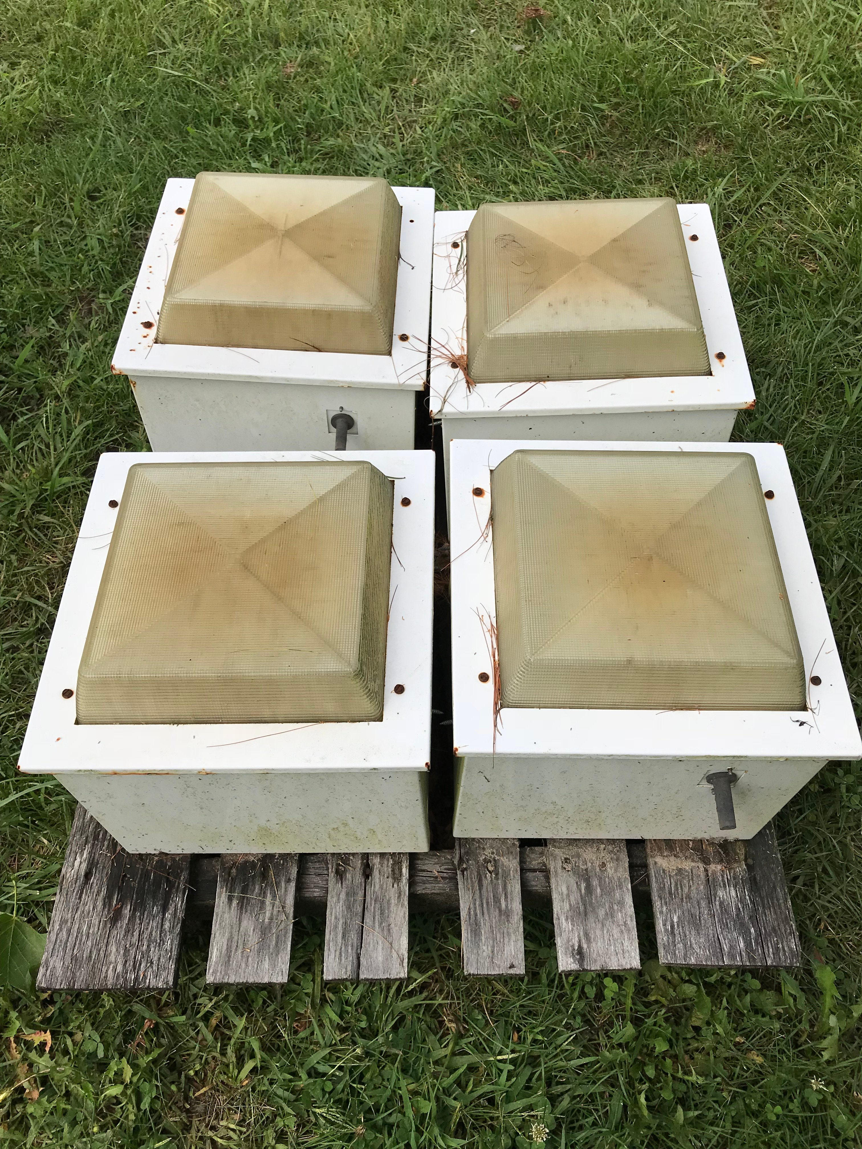 Online Bidding Available