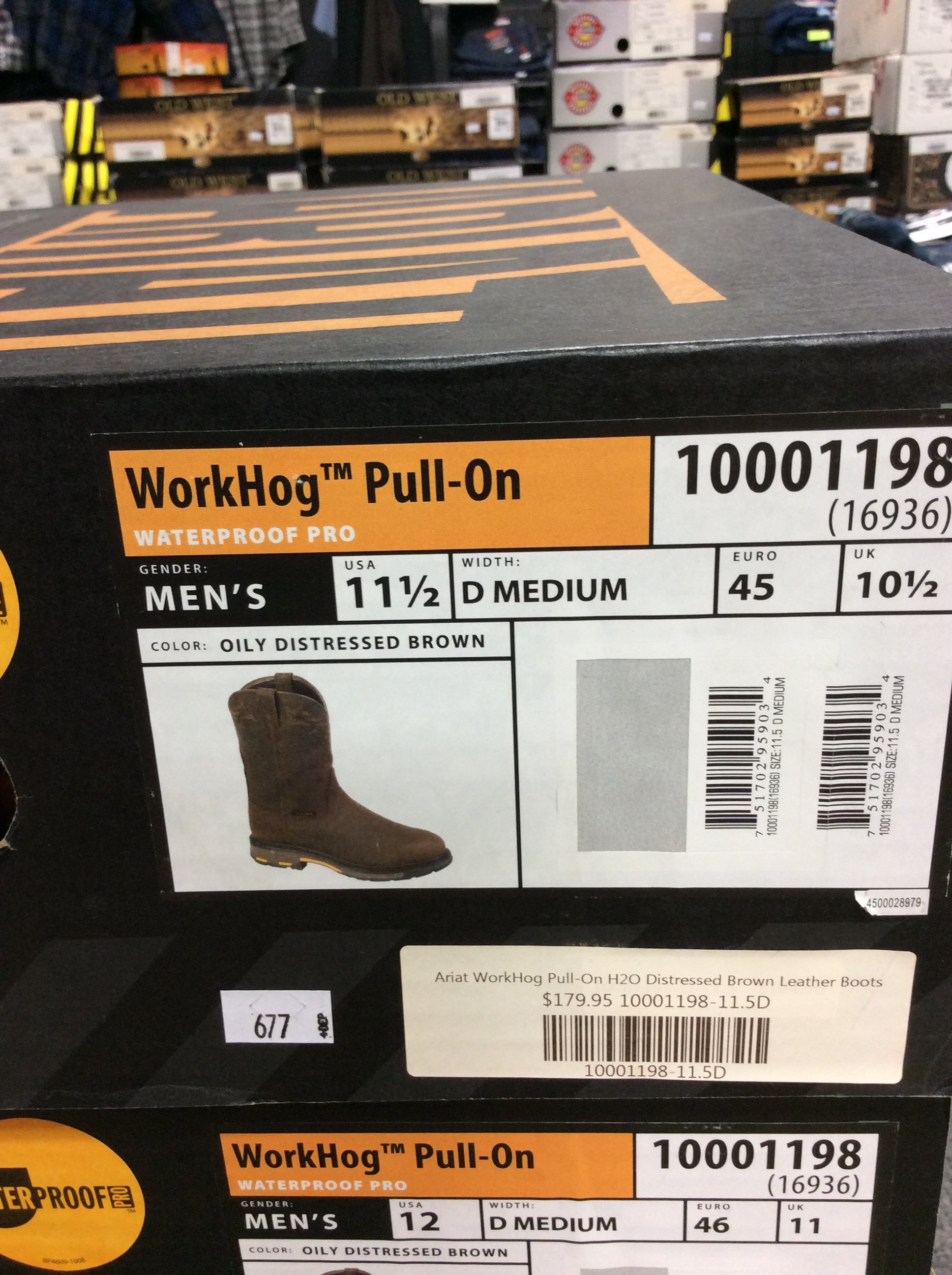 Online Bidding Available