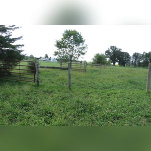 10± acres, home, pole barn, shop building, fenced pastures, and pond. The impressive interior of the home boasts 4 bedrooms and 3 full baths. The master suite is 16â??x16â?? with a large walk-in closet. The master bath has a double sink and a large custom shower. The 22â??x14â?? eat-in kitchen has custom cabinets, granite counter tops, and a brick-front raised fireplace. The large main level also includes the 20â??x14â?? living room with fireplace, 18â??x16â?? family room, 14â??x12â?? office area, mud room, and laundry room. This spacious main level floor plan is ideal for the family as well as entertaining. The full basement is partially finished, and the 2-car attached garage includes a large storage area. Other amenities within the home include a Lennox LP gas forced-air furnace, central air, Pella windows, a newer roof, cathedral ceilings, ceramic tile and wood flooring, ceiling fans, and a Radionon system. The exterior is beautifully landscaped with mature trees, colorful perennials, a small orchard and grape vineyard, a large play area, and a ½ acre stocked pond. The 60â??x50â?? pole barn with walk-in door and 14â??-high end slider includes grooved concrete, maternity pens, custom Gingway gates, a working chute, and 4 individual turn-out pens. There are 6 fenced and cross-fenced pasture areas, each with its own Ritchie waterer. The 34â??x32â?? shop building has a concrete floor, porch, and walk-in and overhead doors.