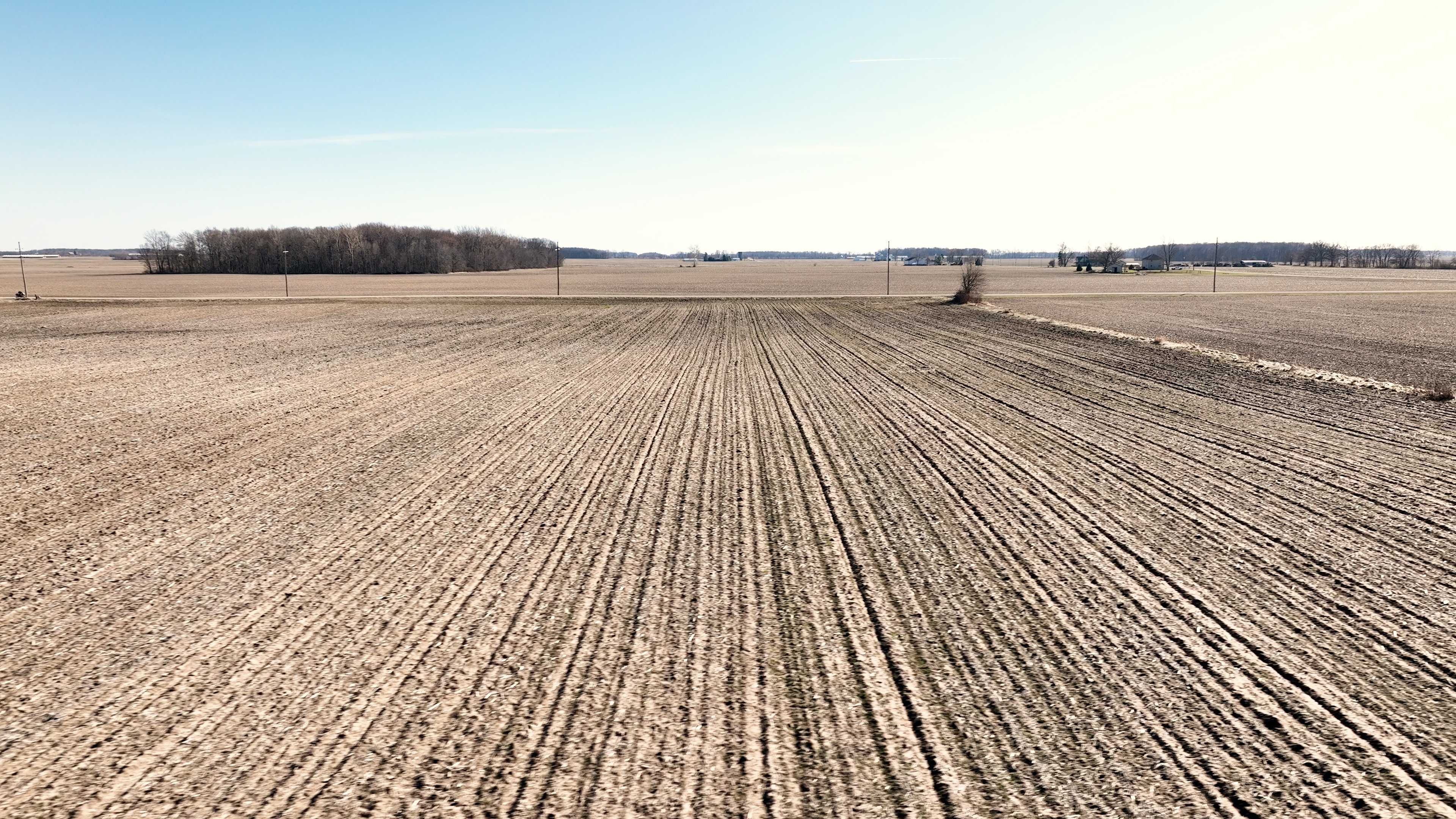 Online Bidding Only!