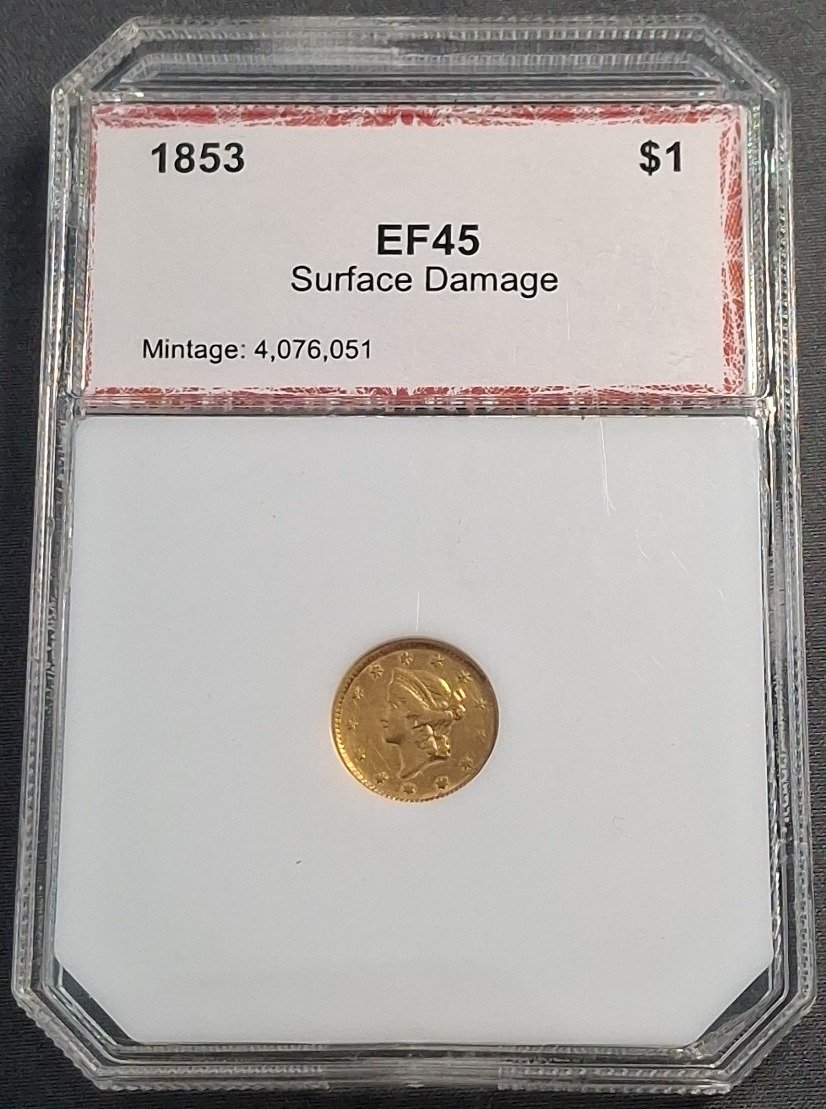 Online Bidding Only
