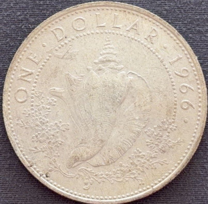 Online Bidding Only