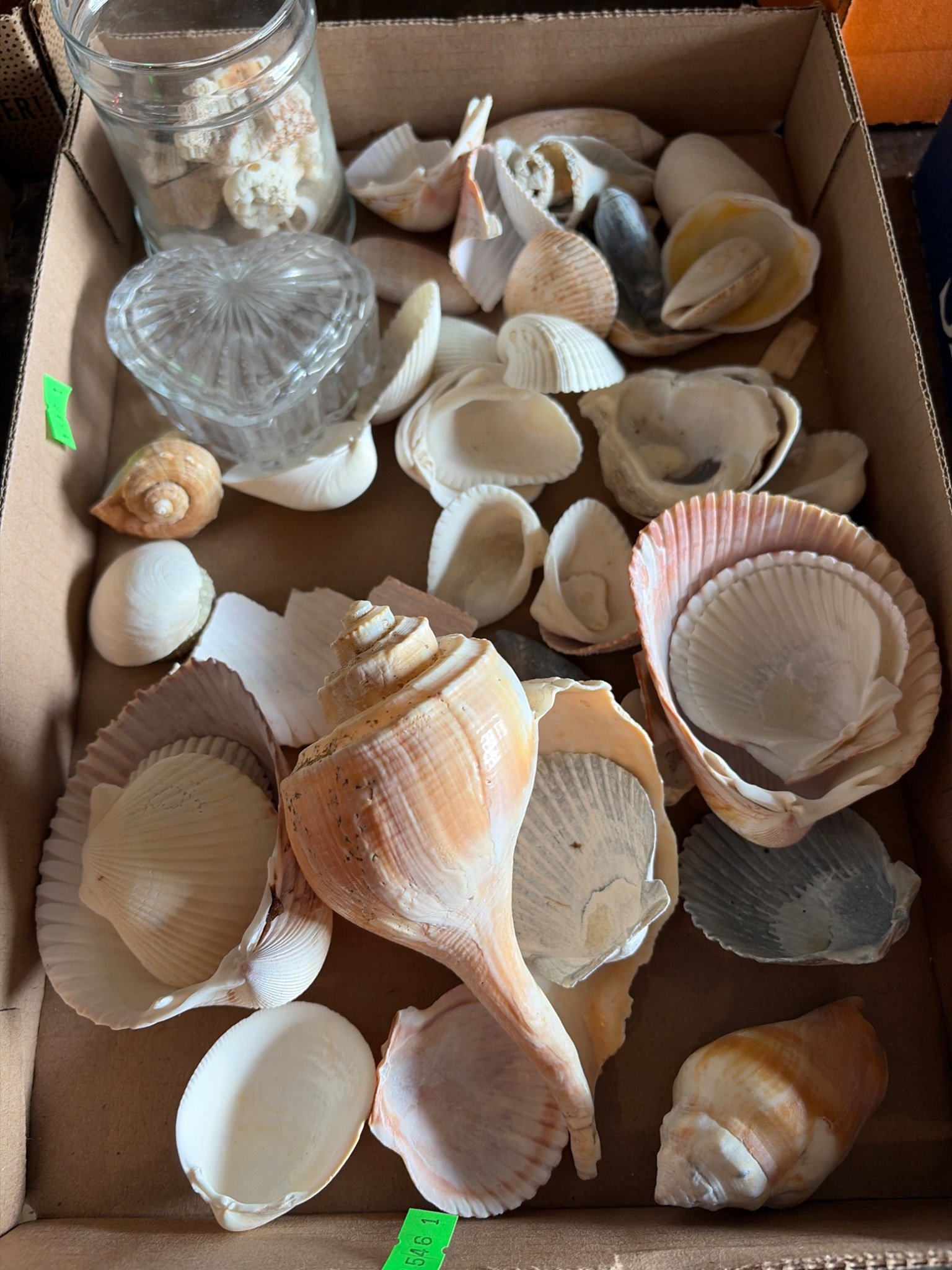 Online Bidding Only