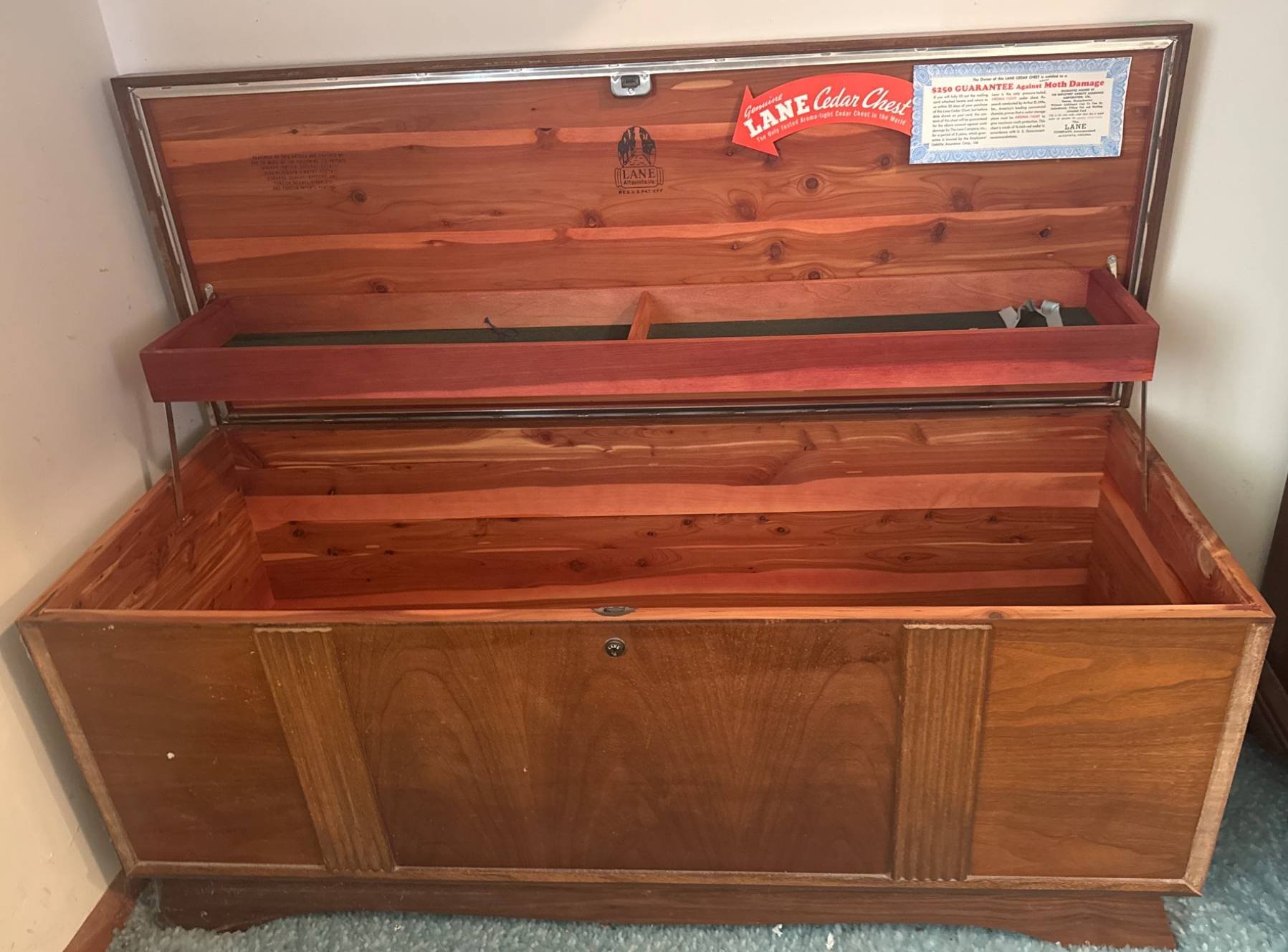 Online Bidding Only
