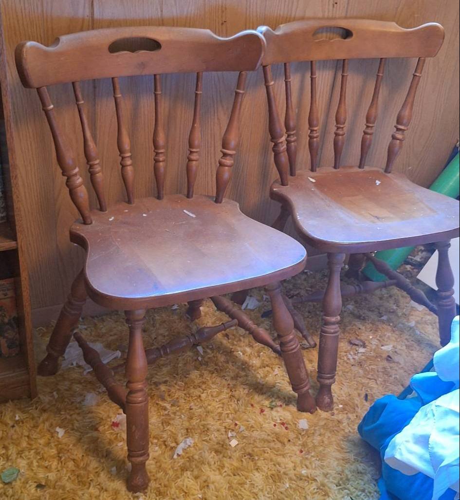 Online Bidding Only