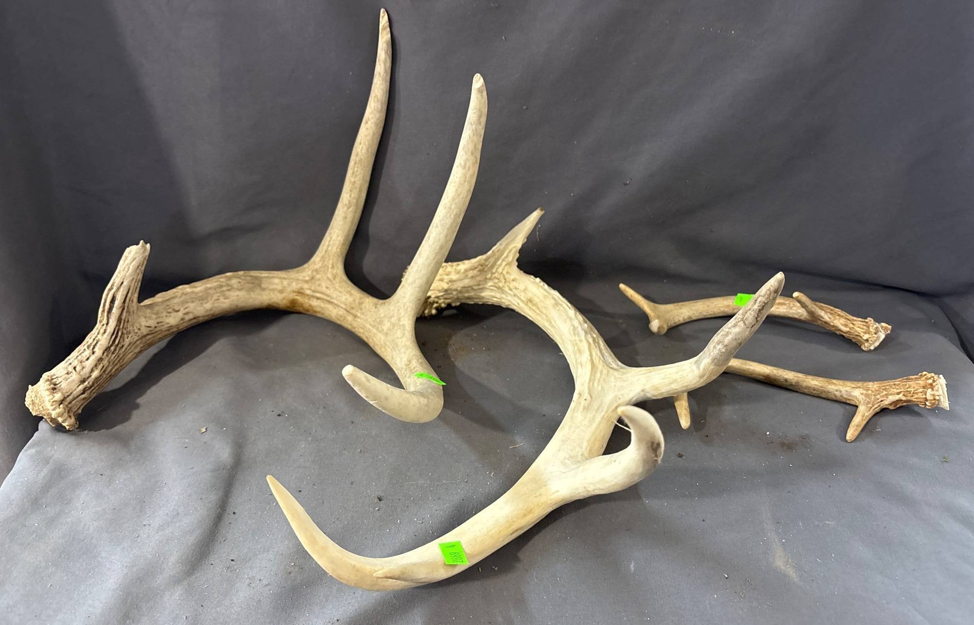Online Bidding Only