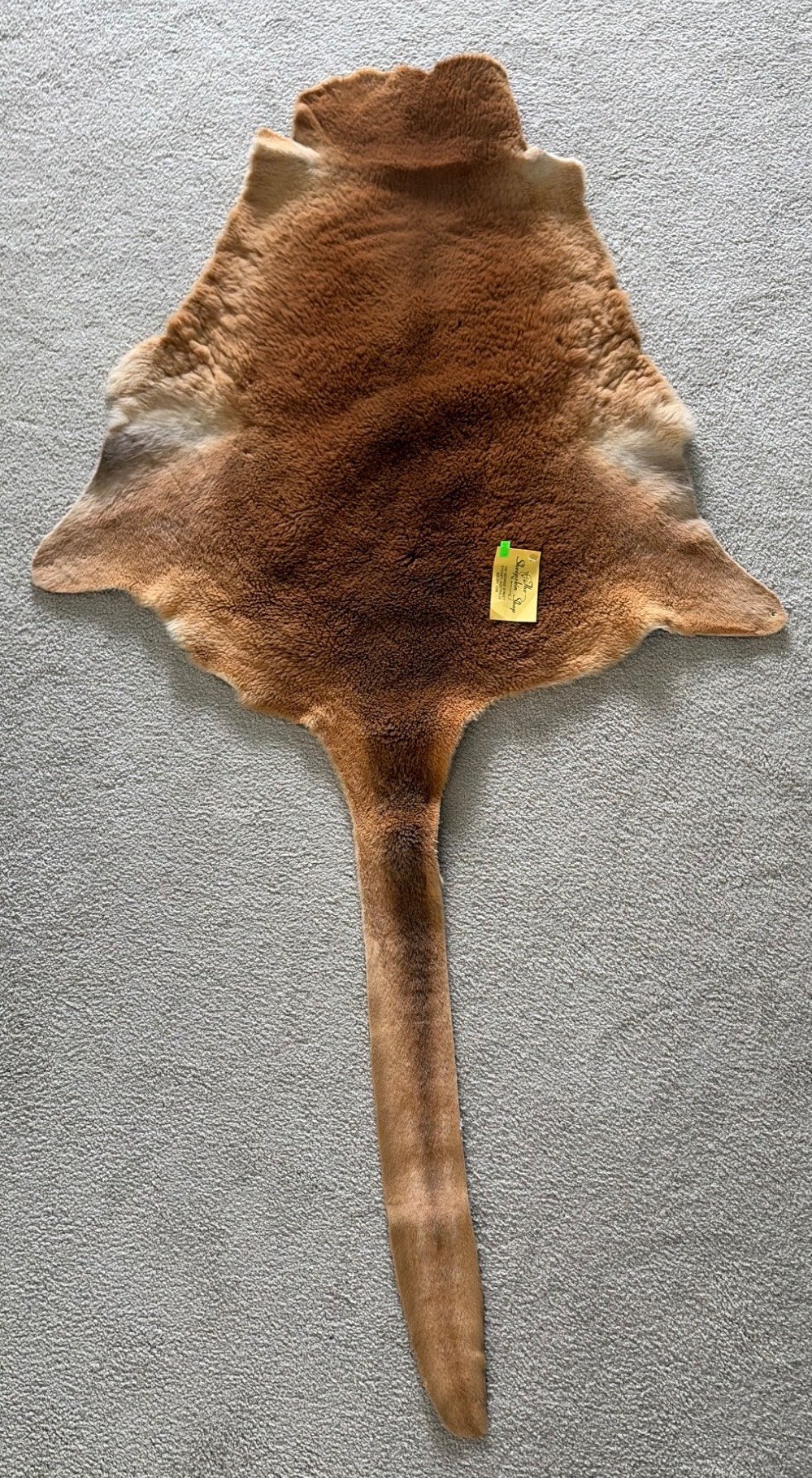 Online Bidding Only